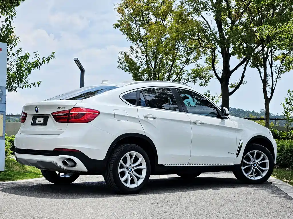 BMW X6 — миниатюра 5