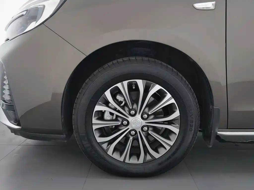 Buick GL8 — миниатюра 17