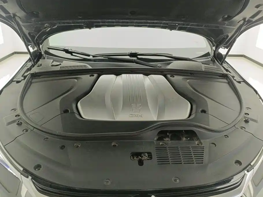 BYD Tang New Energy — миниатюра 10