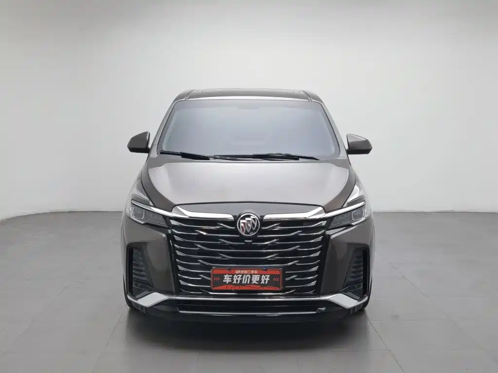 Buick GL8 — миниатюра 3