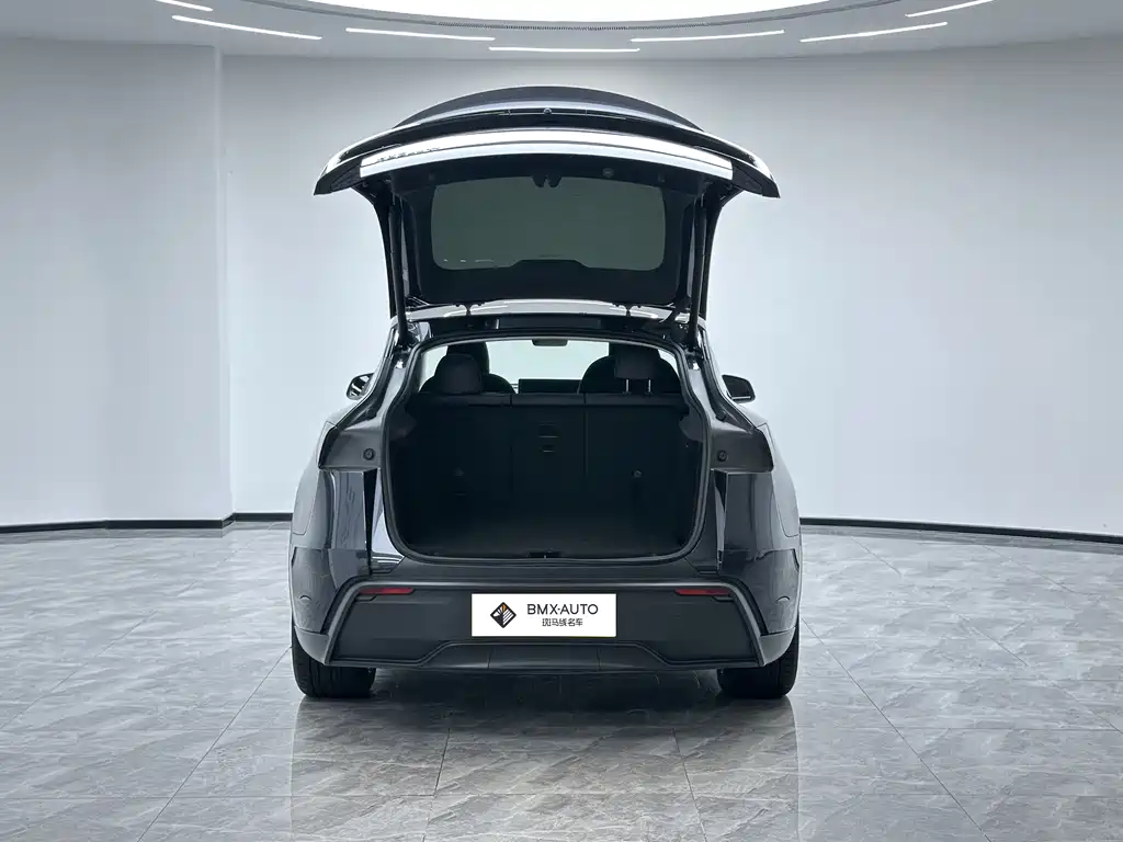 Tesla Model Y — миниатюра 7