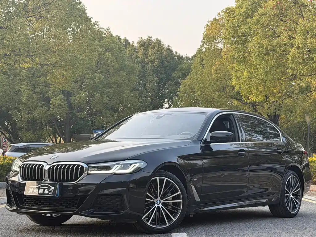 BMW 5 Series 2022