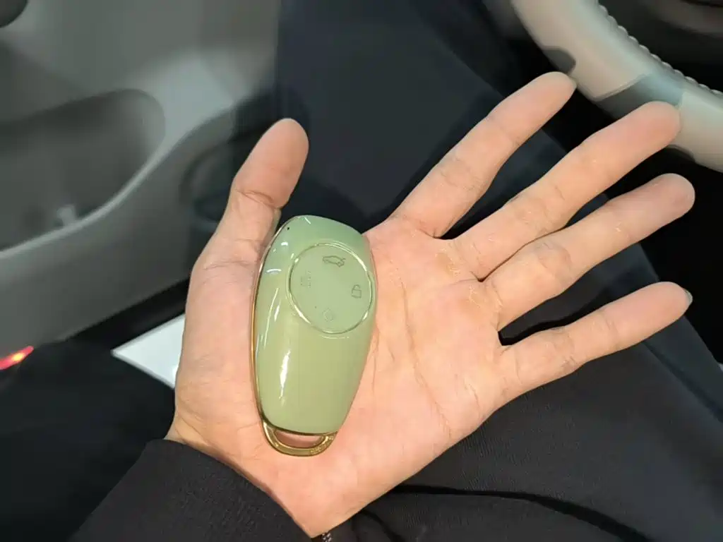 Leapmotor Leapmotor C11 — миниатюра 9