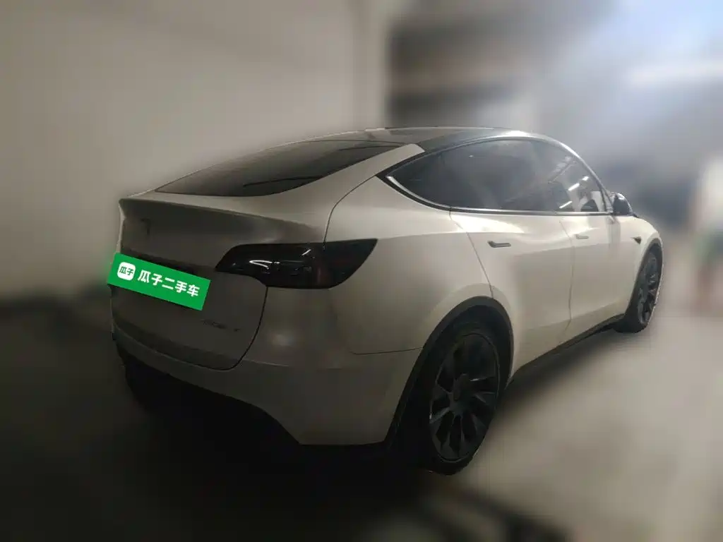 Tesla Model Y — миниатюра 5