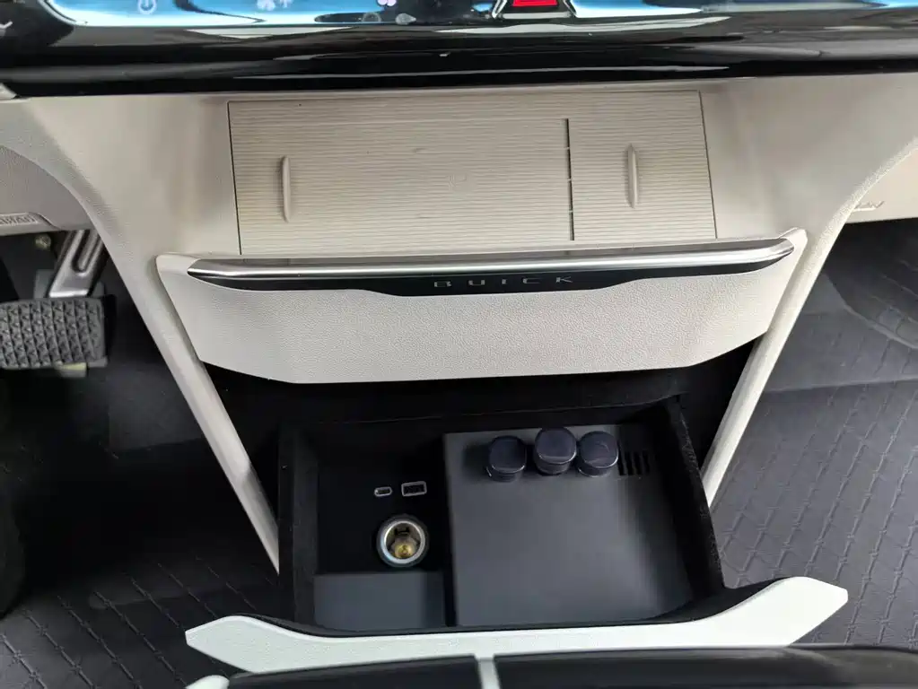 BUICK GL8 NEW ENERGY