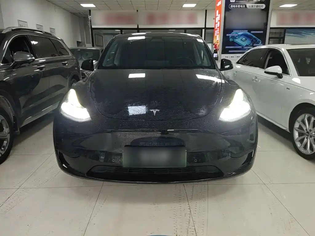 Tesla Model Y — миниатюра 3
