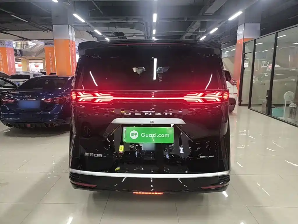 Denza Denza D9 — миниатюра 6