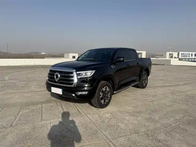 GREAT WALL CANNON 2022