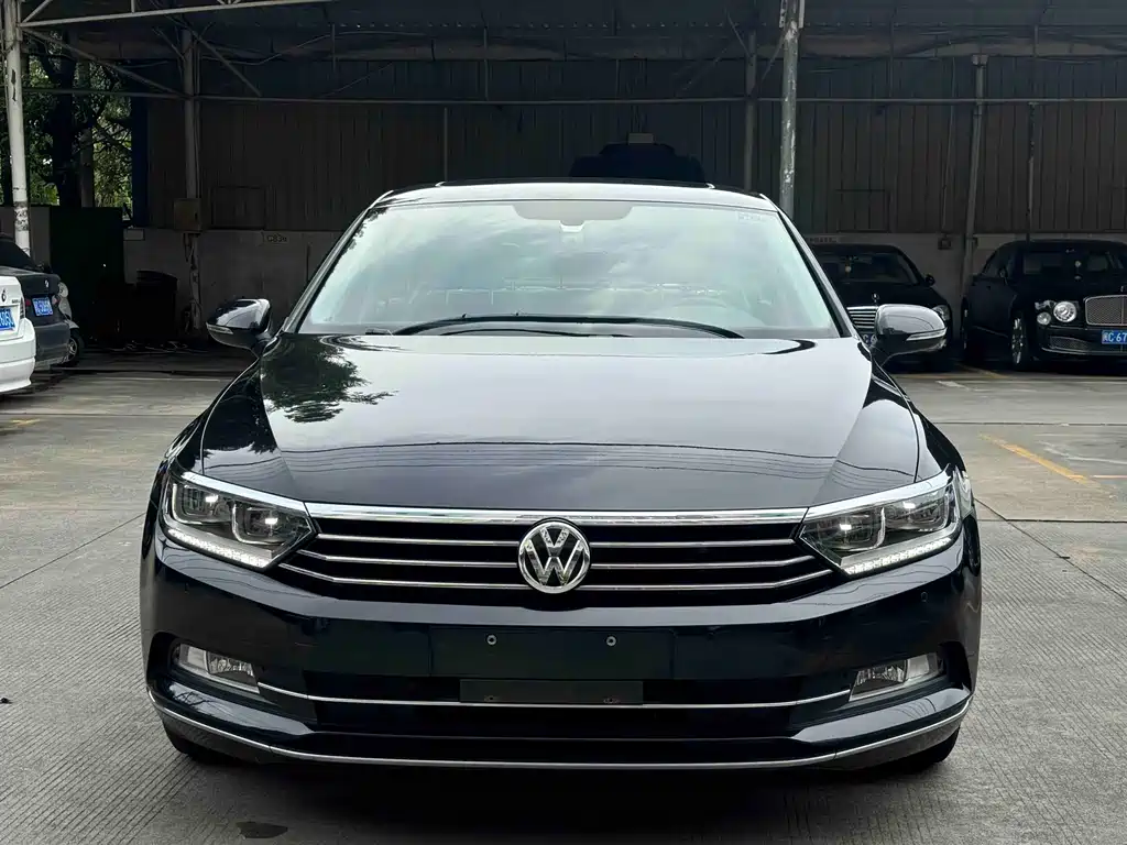 Volkswagen Magotan 2018 330TSI DSG Luxury