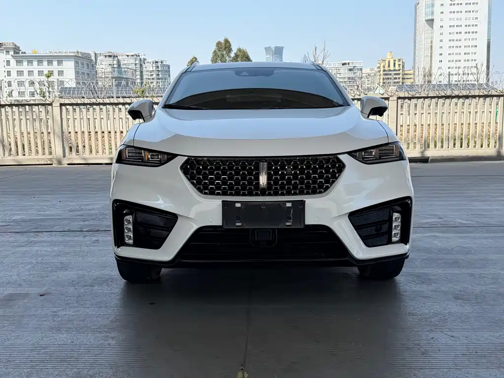 WEI PAI WEI BRAND VV7