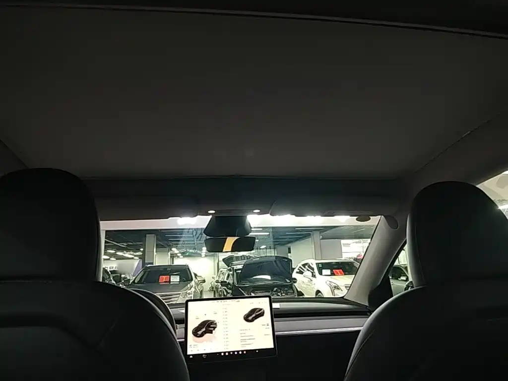 Tesla Model Y — миниатюра 18