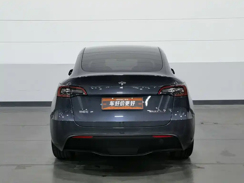 Tesla Model Y — миниатюра 4