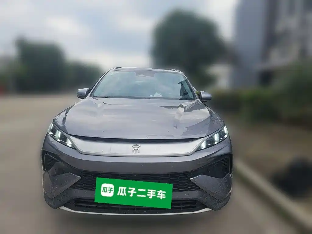 BYD Pro New Energy — миниатюра 2
