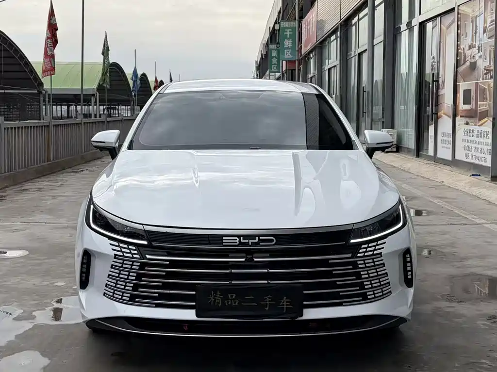 BYD Destroyer 05 — миниатюра 2