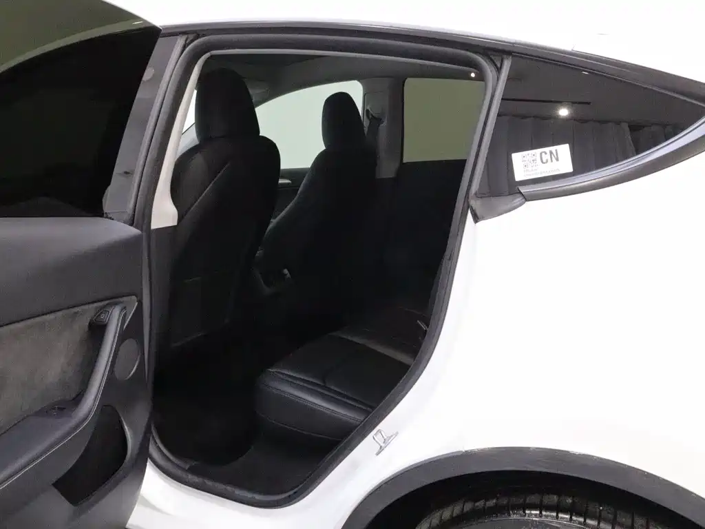 Tesla Model Y — миниатюра 12