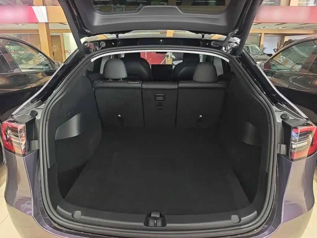 Tesla Model Y — миниатюра 19