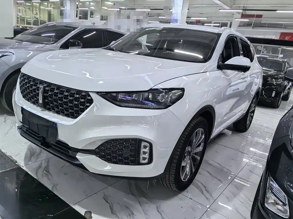 WEI PAI WEI BRAND VV6