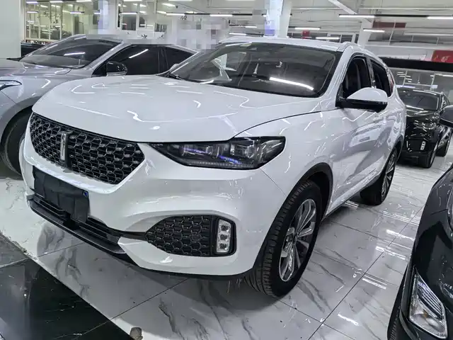 wei-pai wei-brand-vv6