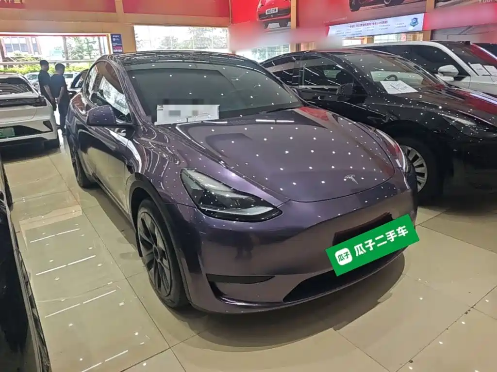Tesla Model Y — миниатюра 4