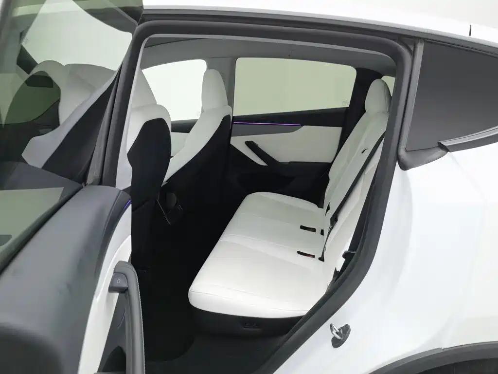 Tesla Model Y — миниатюра 15