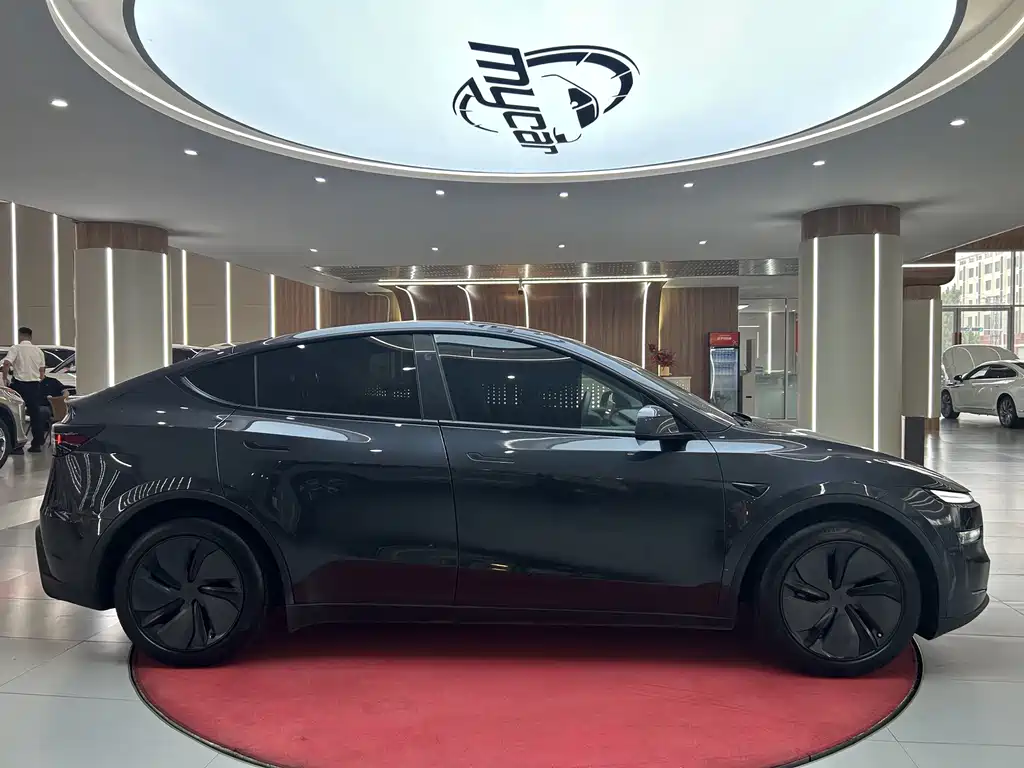 Tesla Model Y — миниатюра 4