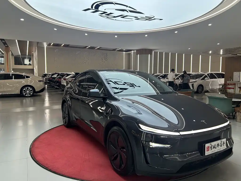 Tesla Model Y — миниатюра 3