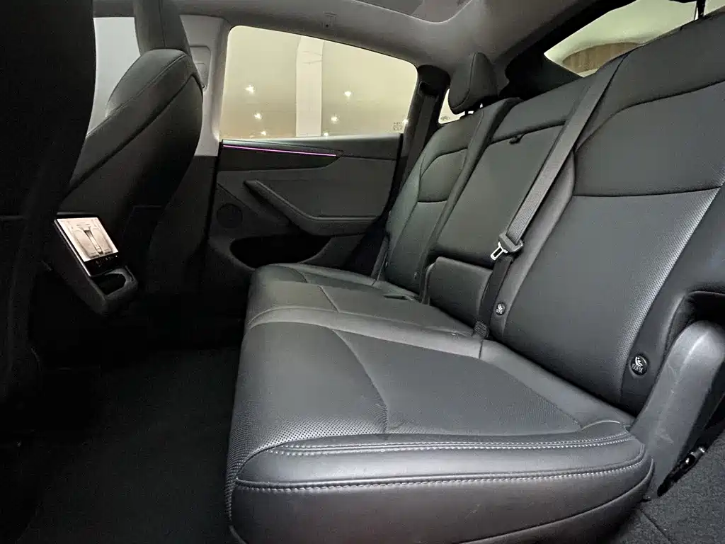 Tesla Model Y — миниатюра 15