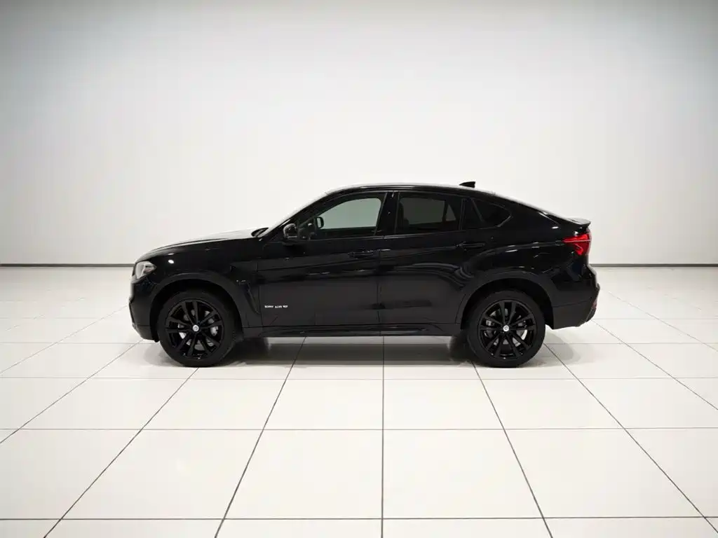 BMW X6 — миниатюра 25