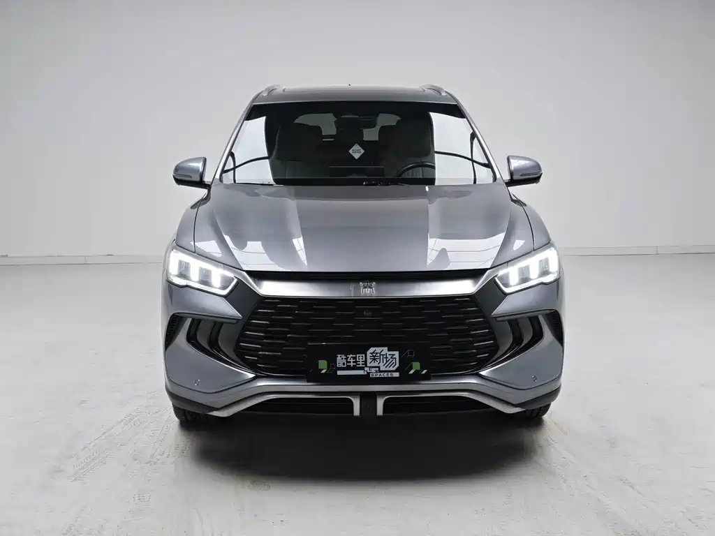 BYD Pro New Energy — миниатюра 2