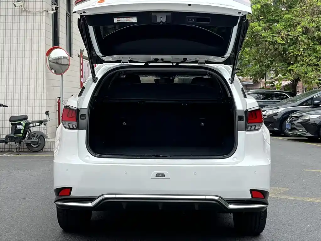 Lexus RX 2020 450h Elegant