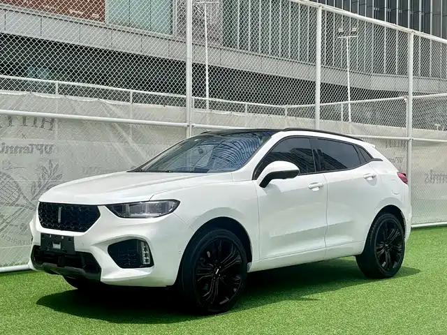 2018 Wey VV5