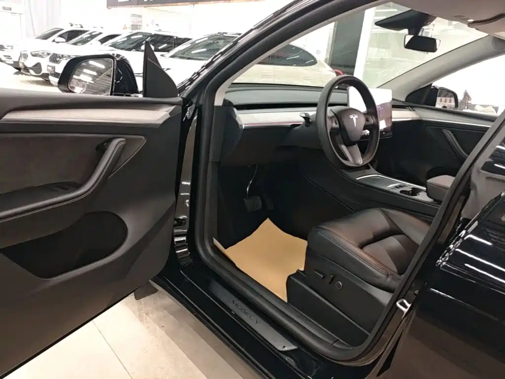 Tesla Model Y — миниатюра 16