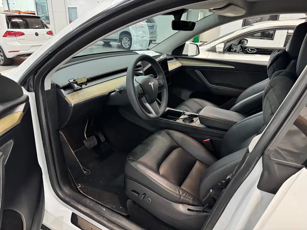 Tesla Model Y — миниатюра 9