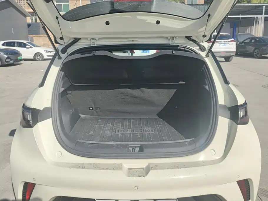 BYD Dolphin — миниатюра 4