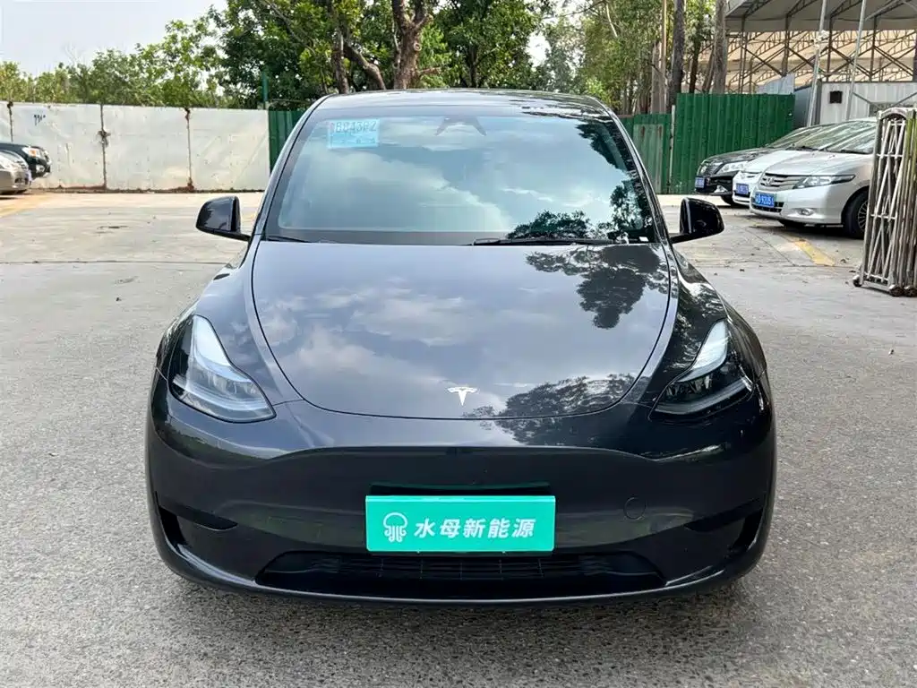 Tesla Model Y — миниатюра 2