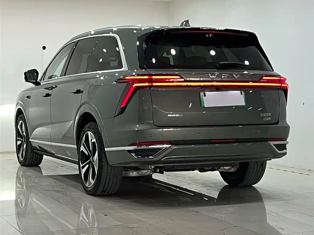 WEI PAI WEI BRAND BLUE MOUNTAIN