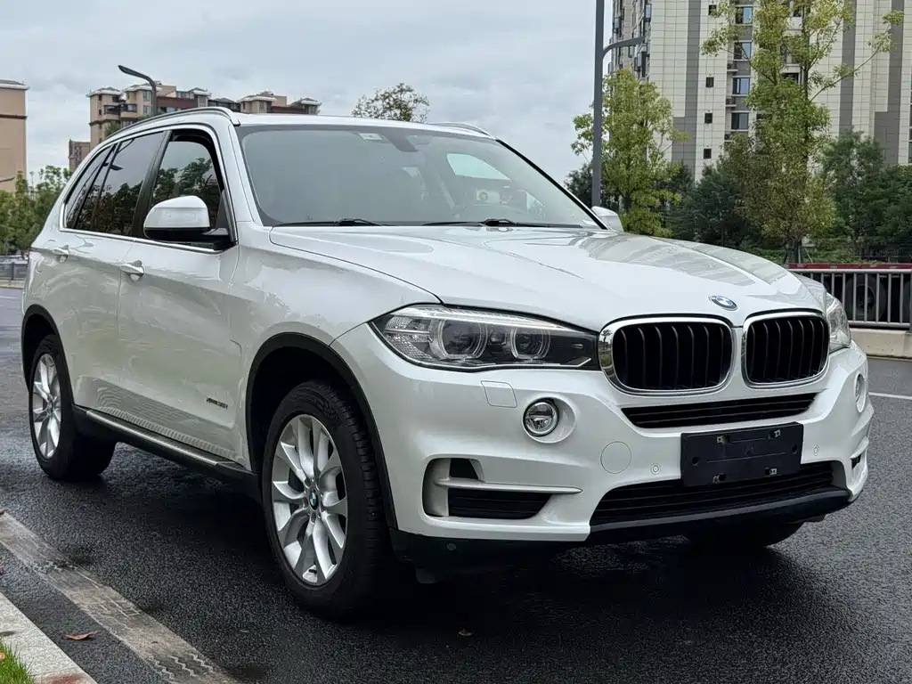 BMW X5 (Import) — миниатюра 3