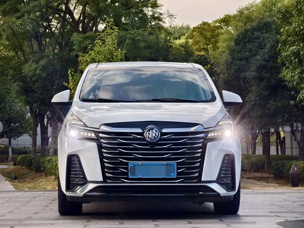 Buick GL8 — миниатюра 2