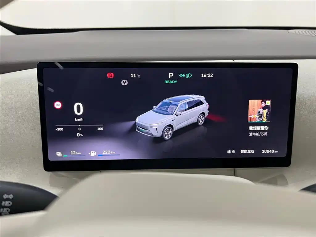 WEI PAI WEI BRAND BLUE MOUNTAIN