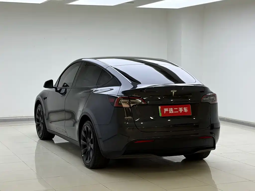 Tesla Model Y — миниатюра 16