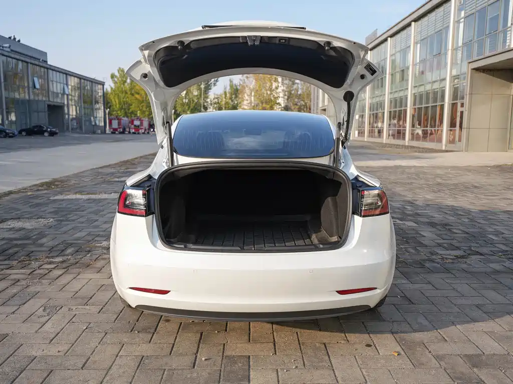 Tesla Model 3 — миниатюра 16