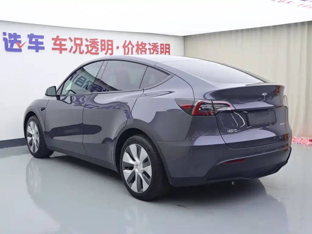 Tesla Model Y — миниатюра 22
