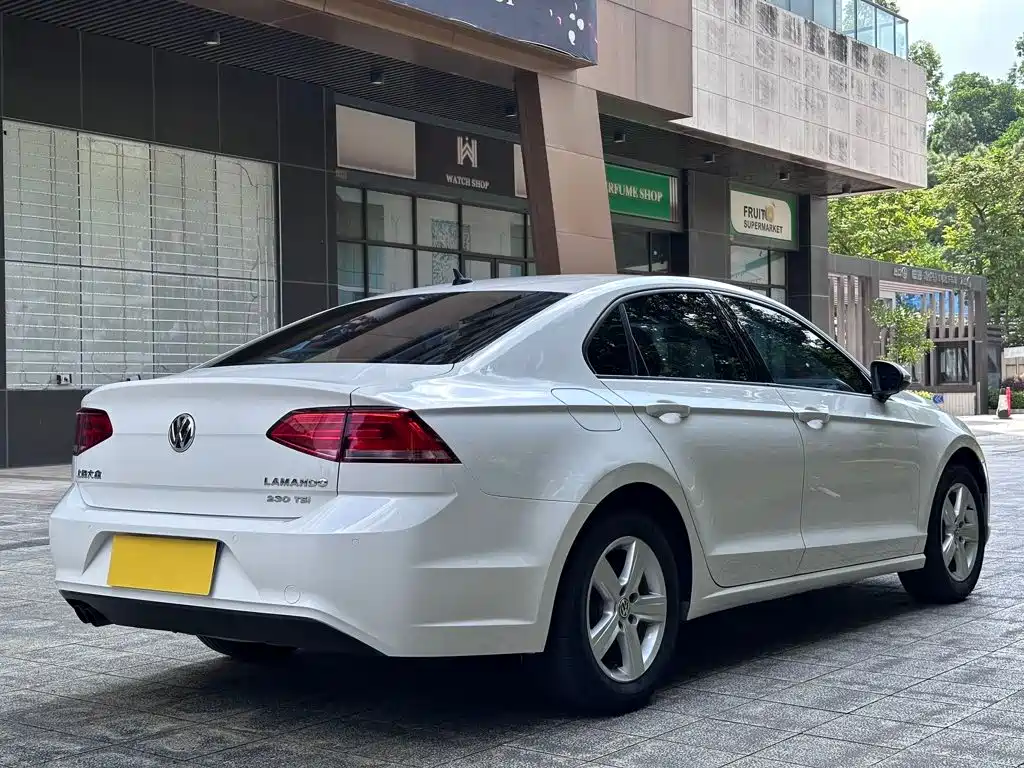 Volkswagen Lamando — миниатюра 9