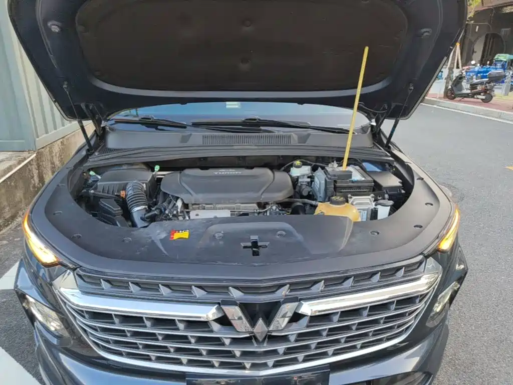Wuling Victory — миниатюра 20