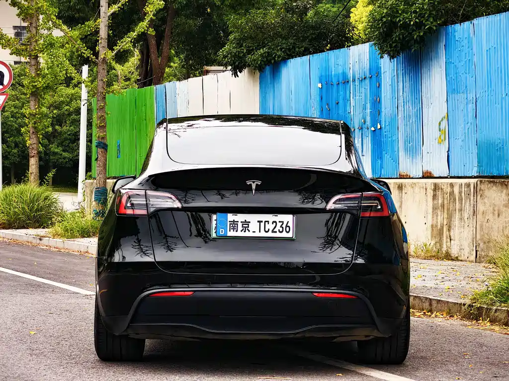 Tesla Model Y — миниатюра 6