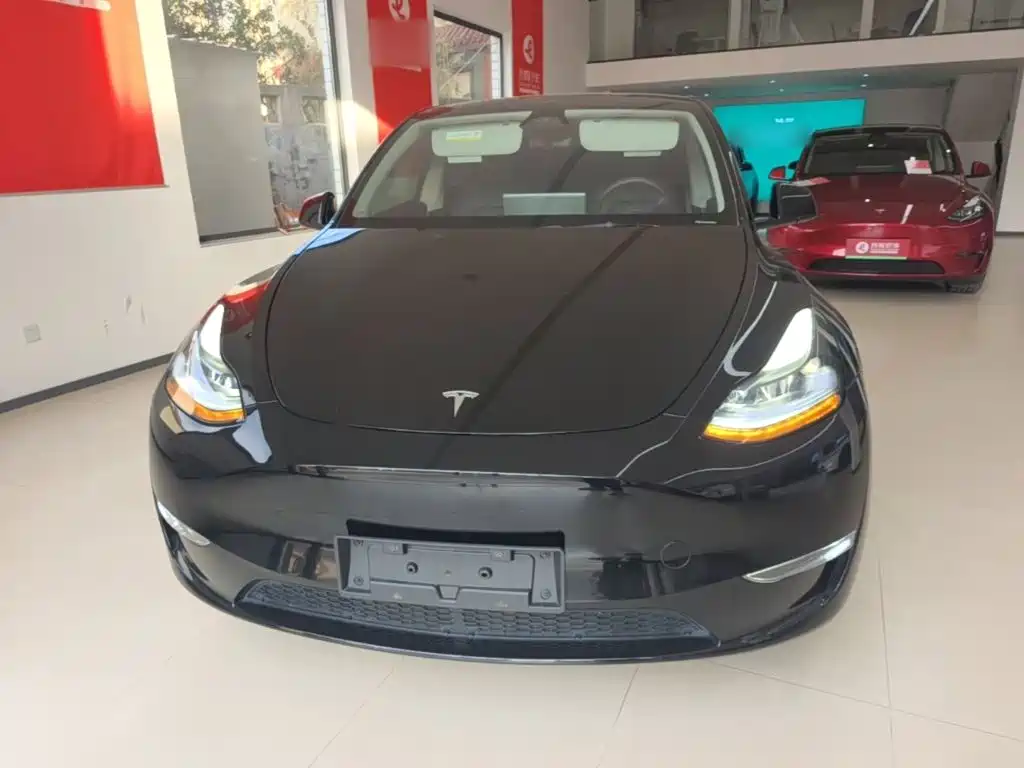 Tesla Model Y — миниатюра 3