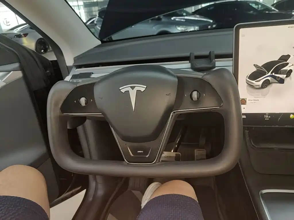 Tesla Model Y — миниатюра 11