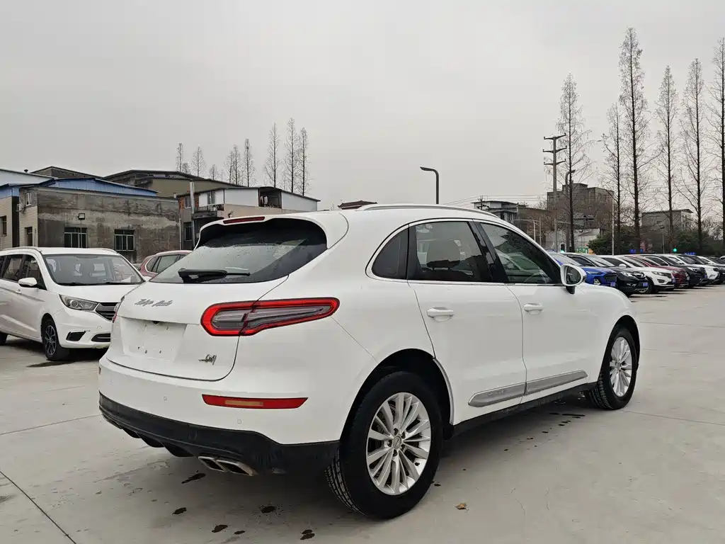 ZOTYE SR9