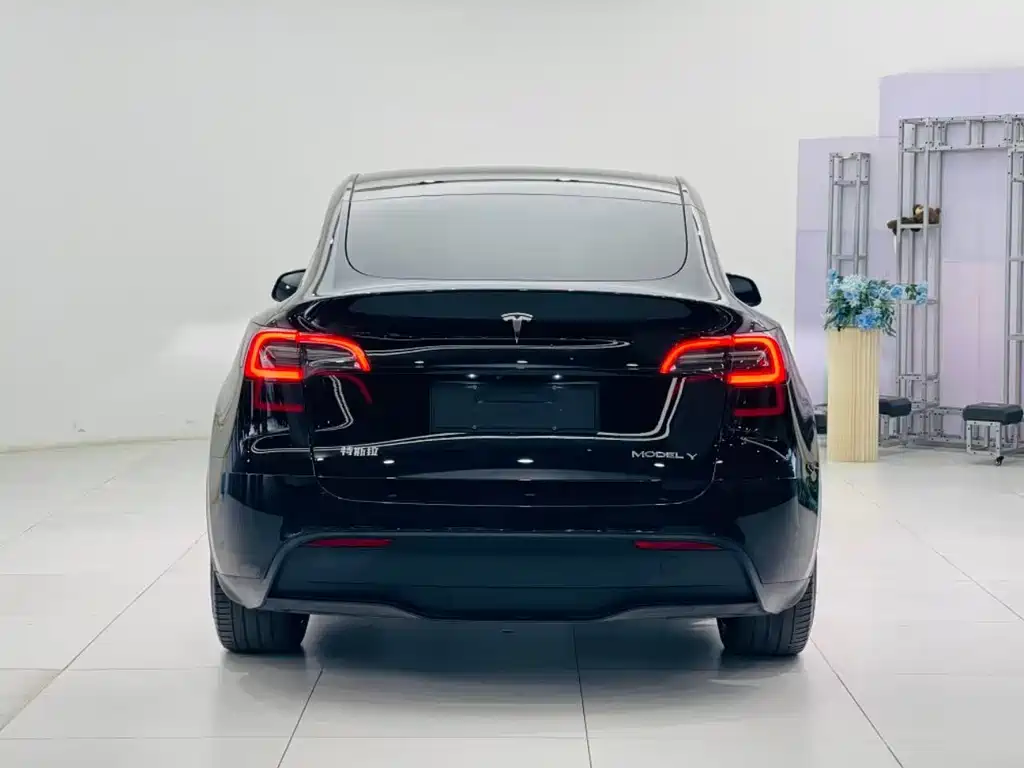 Tesla Model Y — миниатюра 7