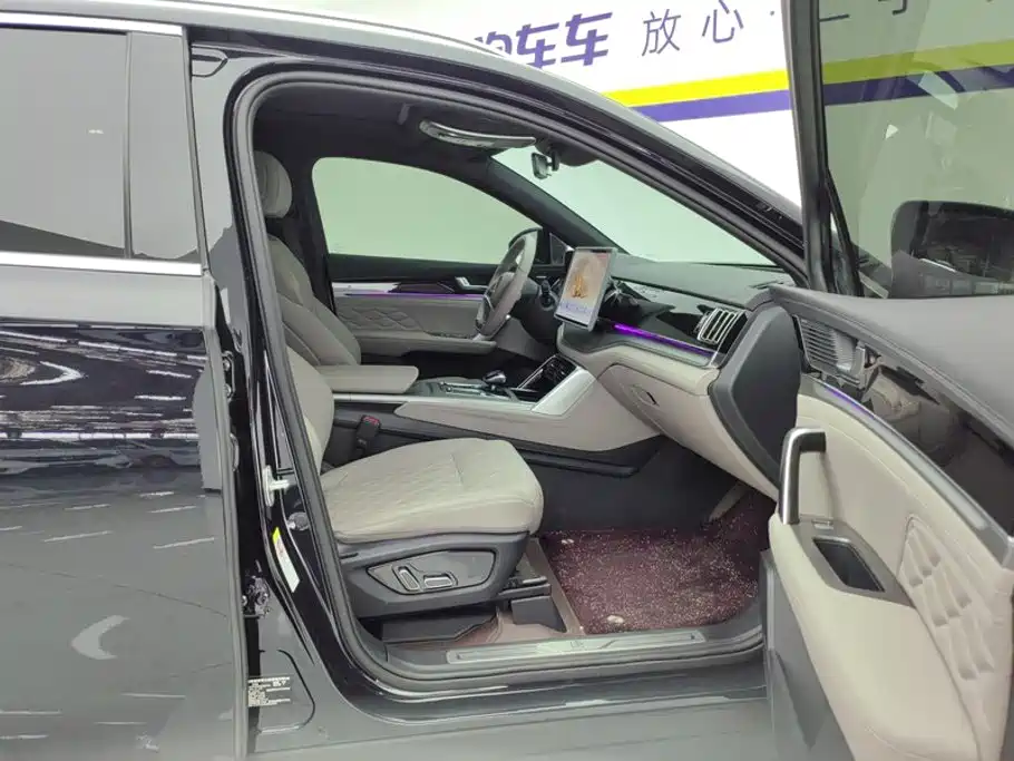 BYD Tang New Energy — миниатюра 8
